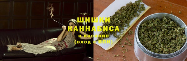 МДПВ Мегион