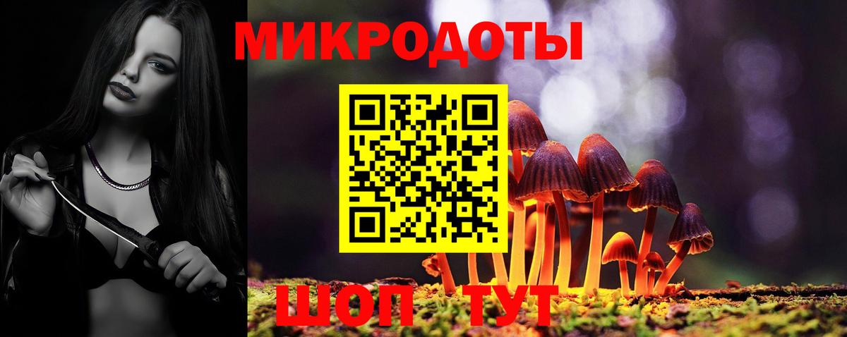 где купить наркоту  Вход с VPN  Кызыл  Псилоцибиновые грибы GOLDEN TEACHER  Галлюциногенные грибы мицелий 