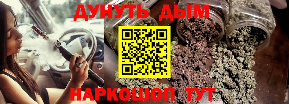 Каннабис сатива Кызыл